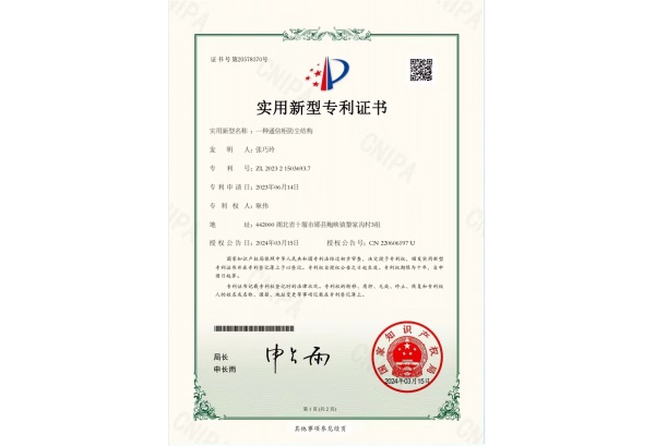 实用新型专利1